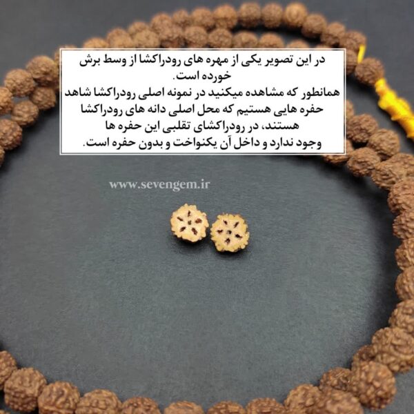 خرید تسبیح رودراکشا اصل